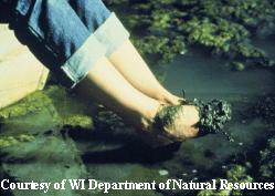 eutrophying water