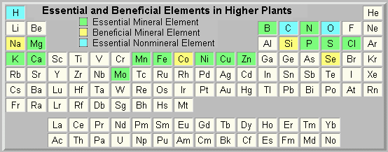 List of Essential Elements