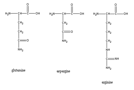 glutamine, aspargine, and arginine diagrams