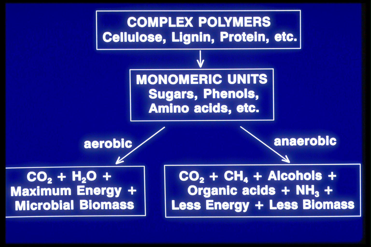 Overview of microbial decoposition processes
